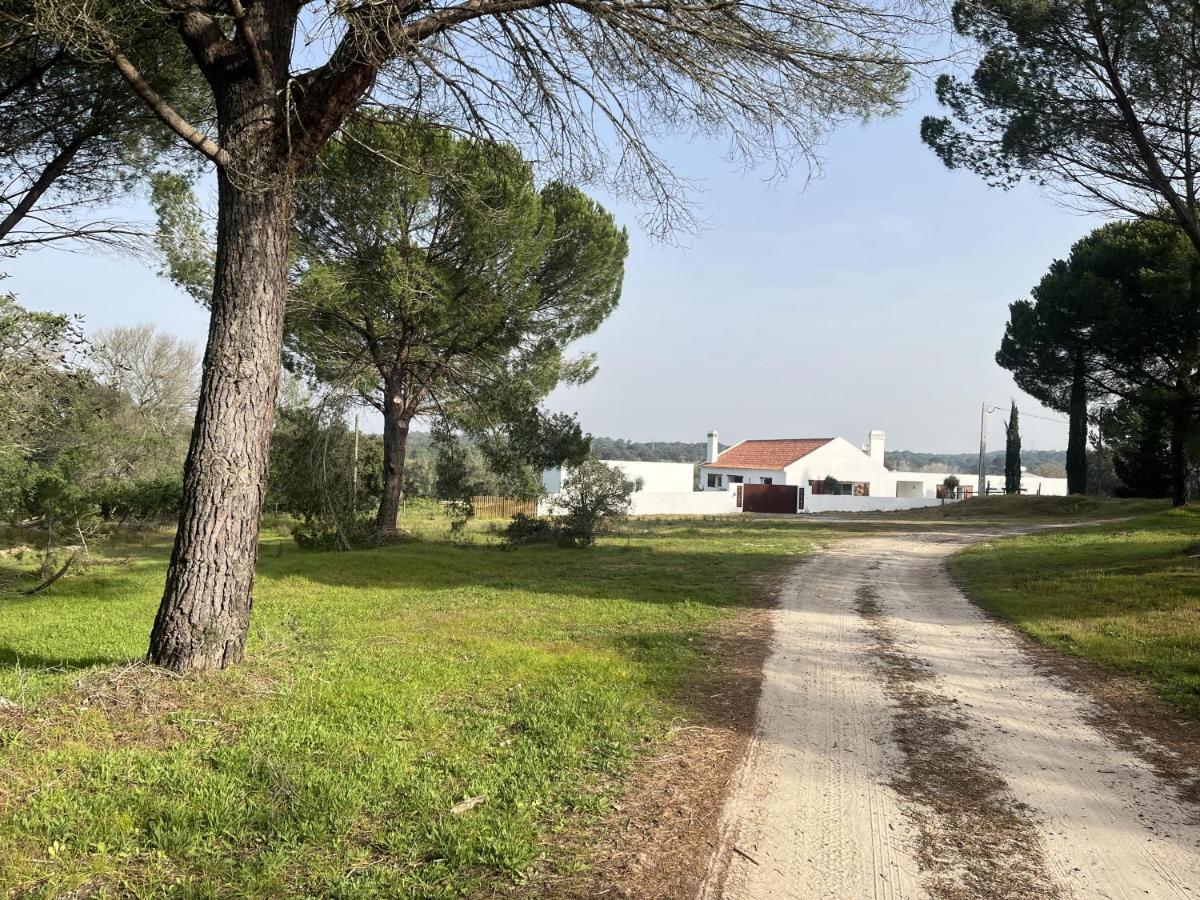 فيلا Fazenda Do Pomar By Trip2Portugal مونتمور - أو - نوفو المظهر الخارجي الصورة
