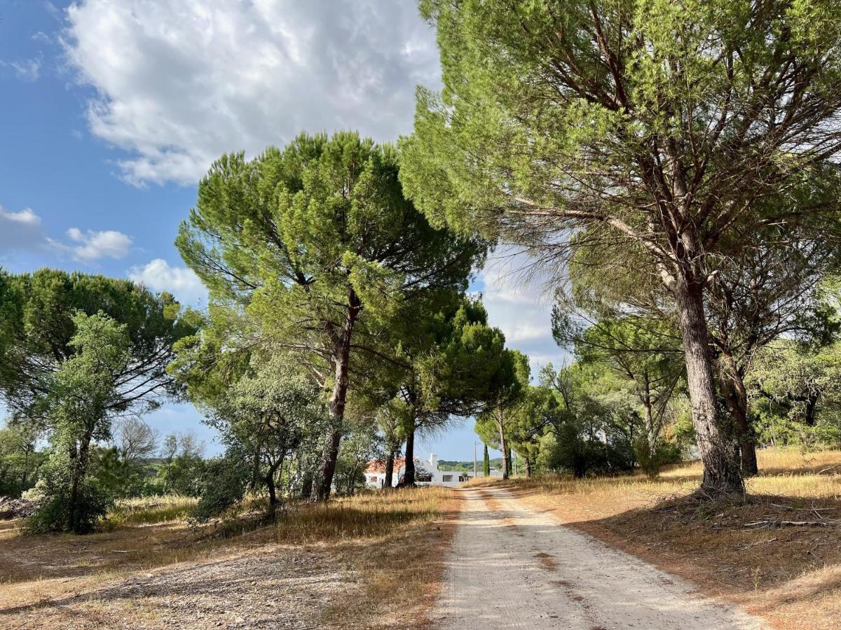 فيلا Fazenda Do Pomar By Trip2Portugal مونتمور - أو - نوفو المظهر الخارجي الصورة